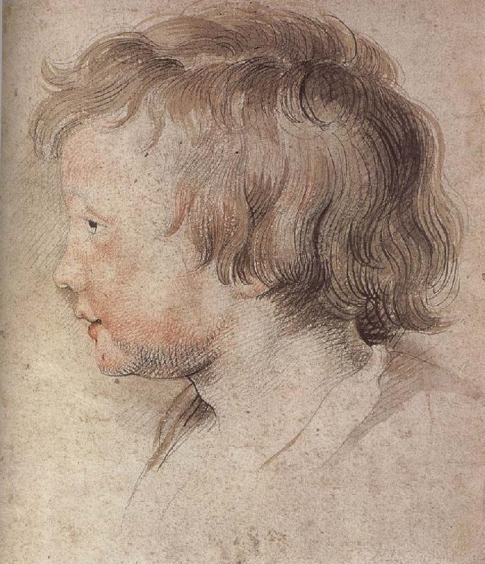 Peter Paul Rubens Portrait of Younger Rubens Sweden oil painting art